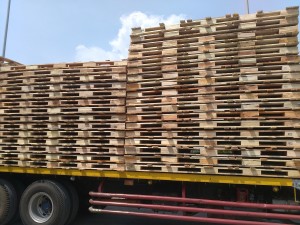 palet kayu export